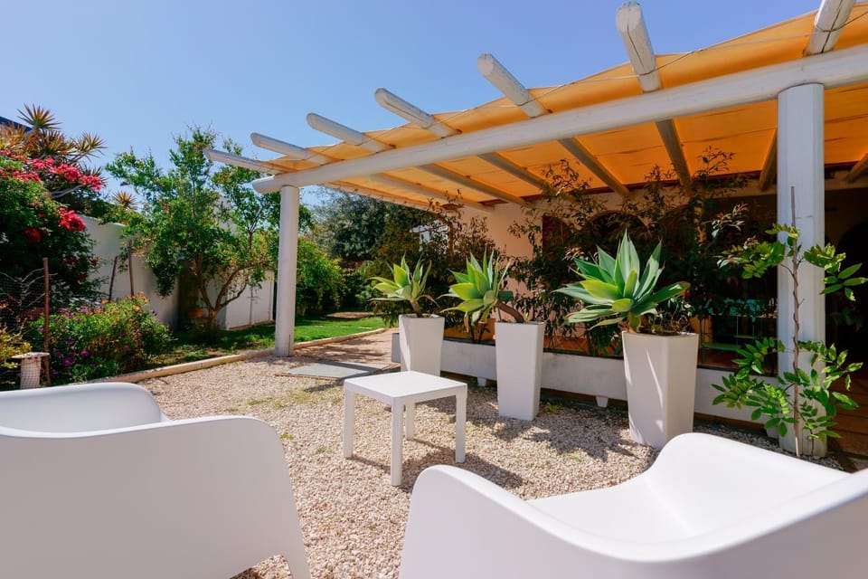 Patio, Garden