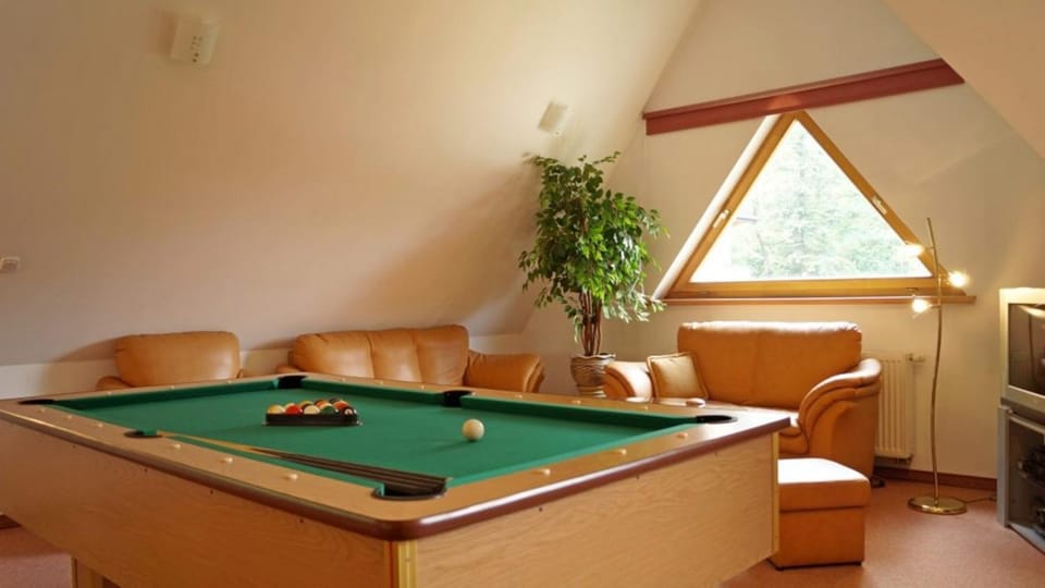 Billiard, Game Room
