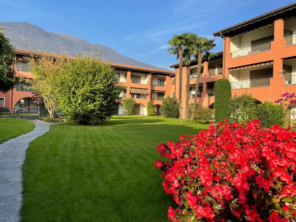 Garden view