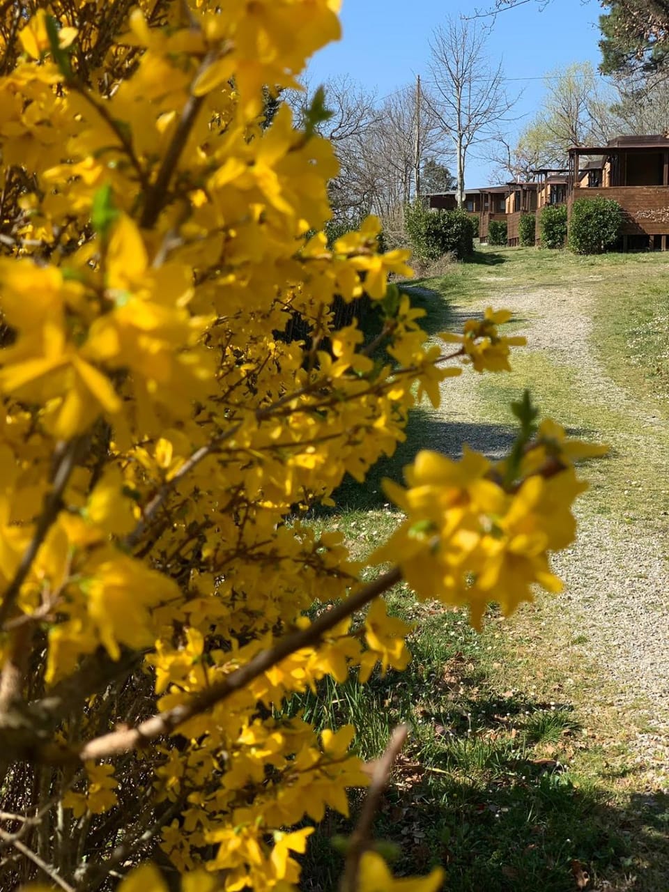 Camping San Giusto Campground/ 
RV Resort in Emilia-Romagna