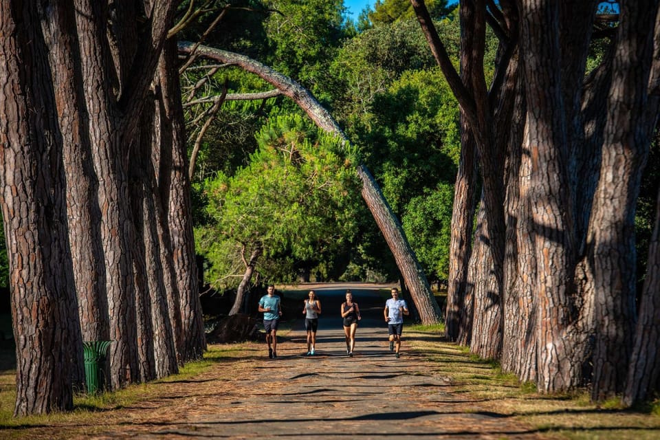Spring, Day, Natural landscape