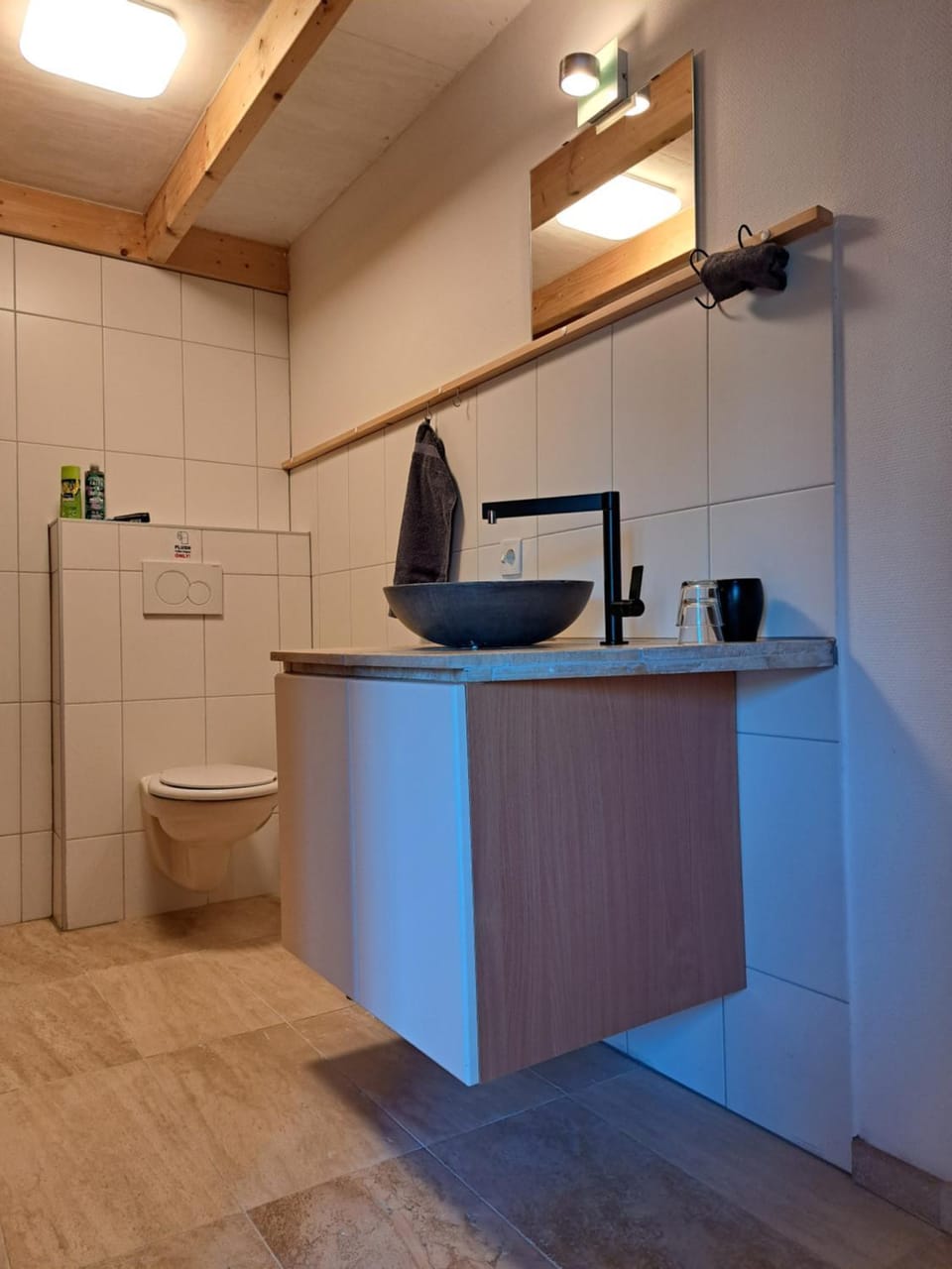 Toilet, Bathroom