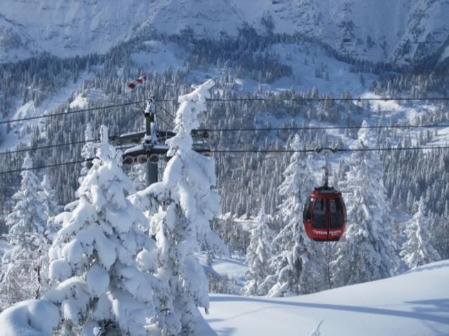 Ferienwohnungen Ortner-Hof inkl. Chiemgaukarte Apartment in Ruhpolding