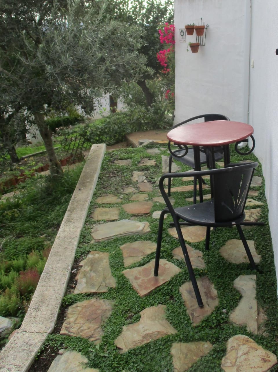 Property building, Garden, Garden view