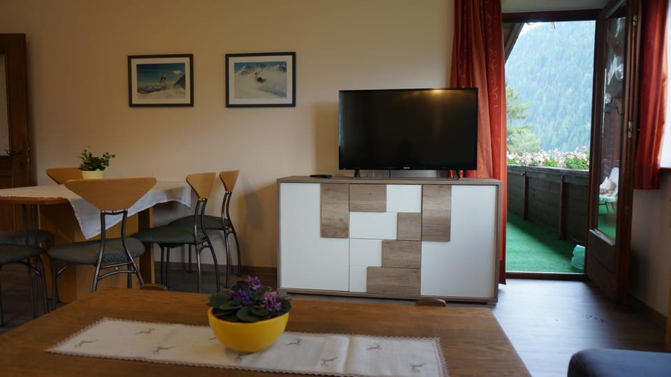 TV and multimedia