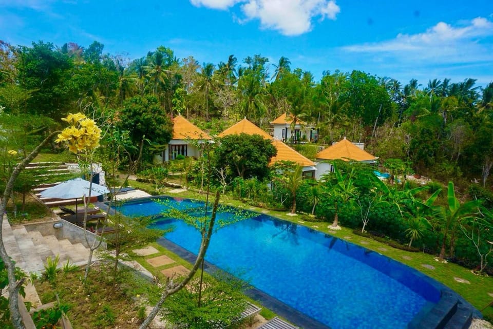 Day, Pool view