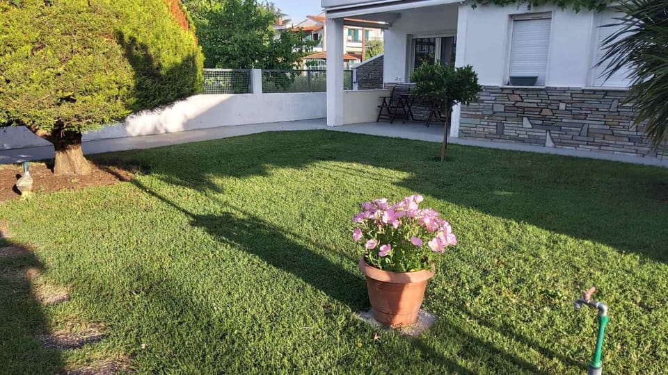 Despina's house Apartment in Halkidiki