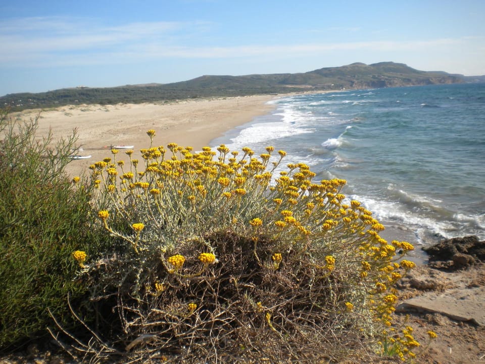 Beach, On site