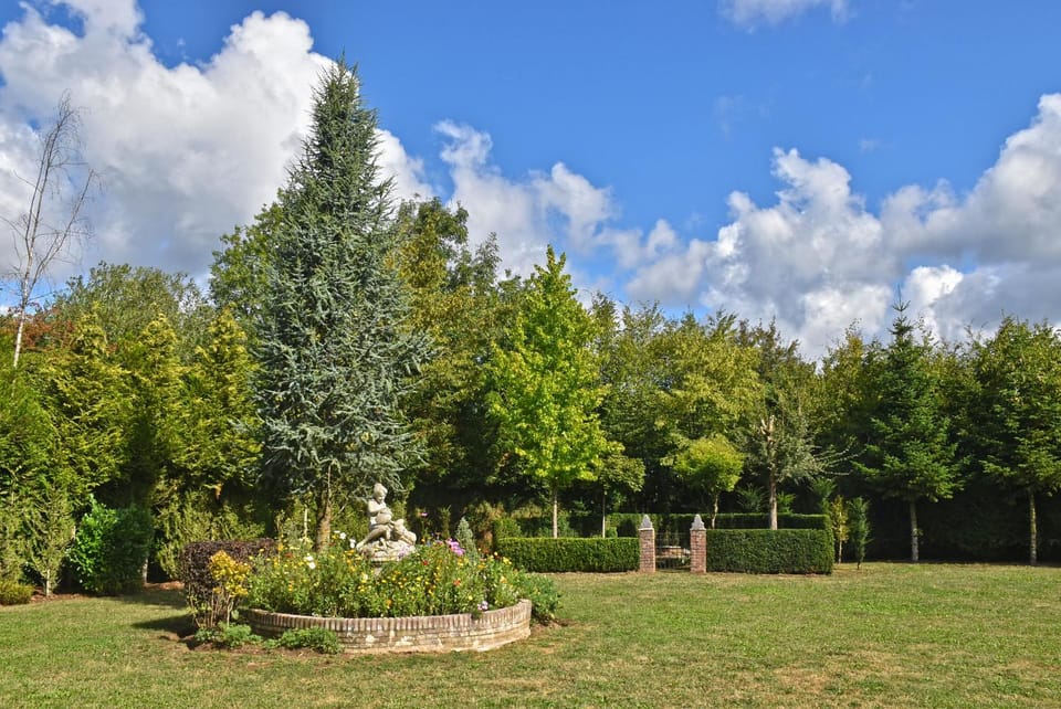 Garden, Table tennis, Hiking, Garden view