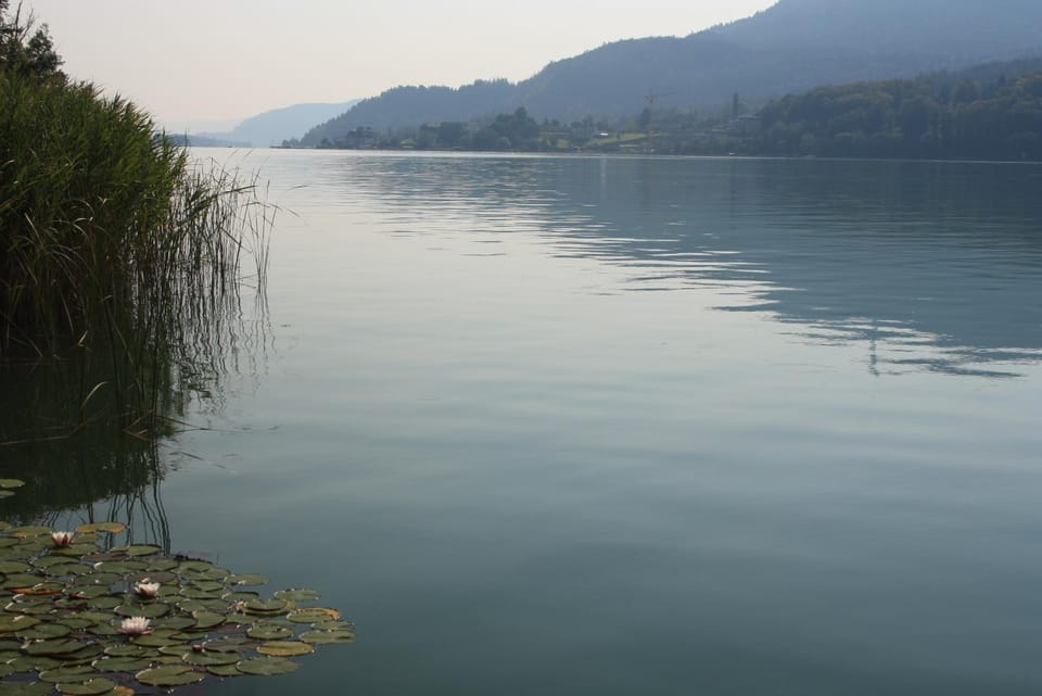 Natural landscape
