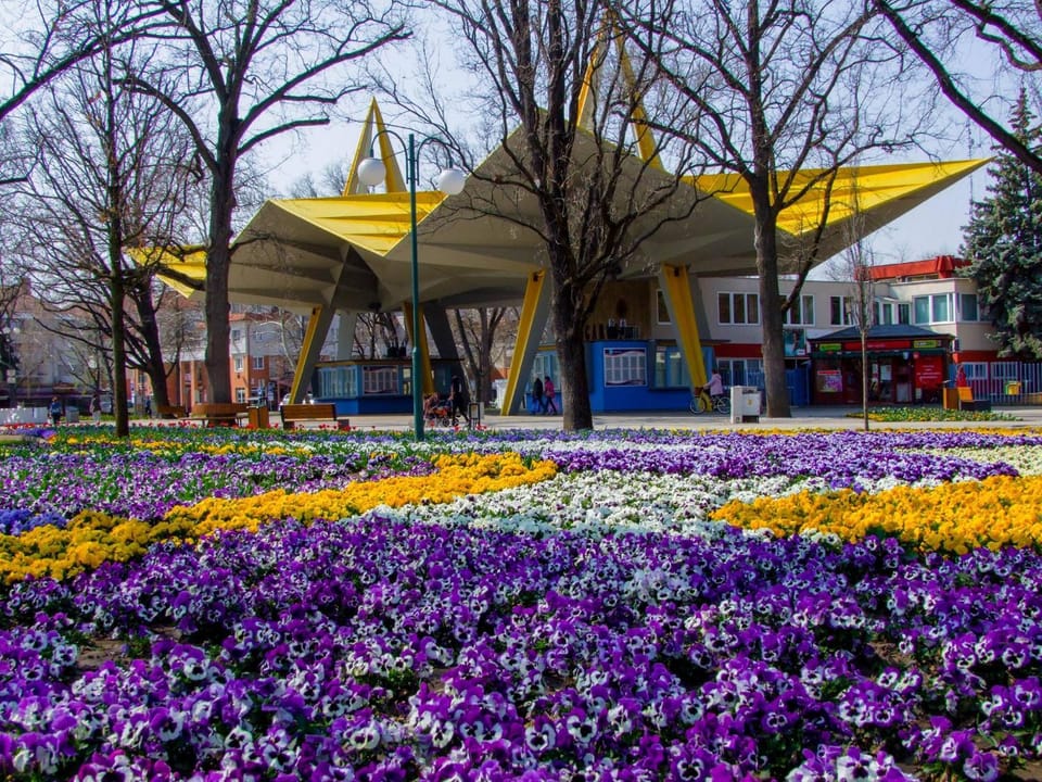 Aqua park, Entertainment