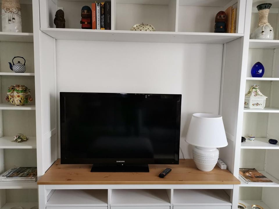 TV and multimedia