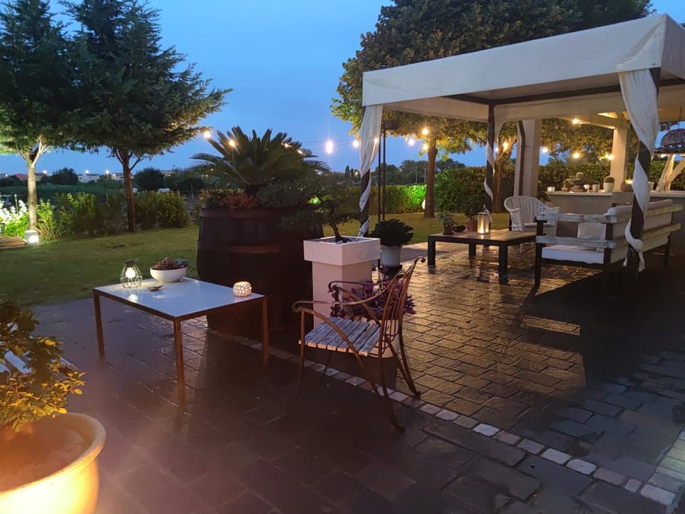 Night, Garden, Garden