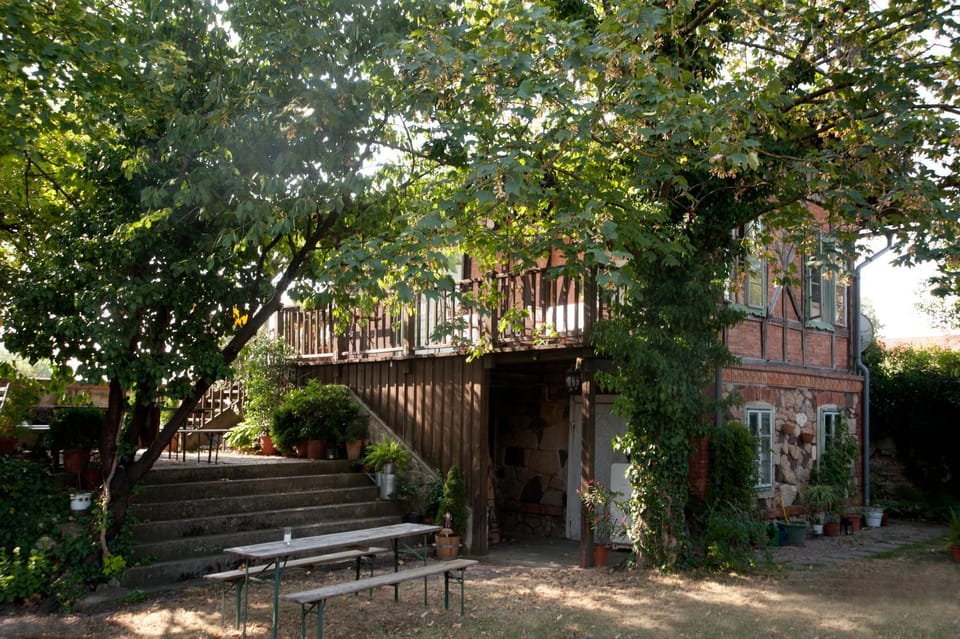 Patio, Day