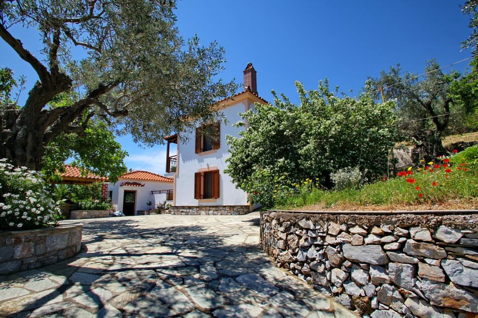 Property building, Patio, Facade/entrance, Garden
