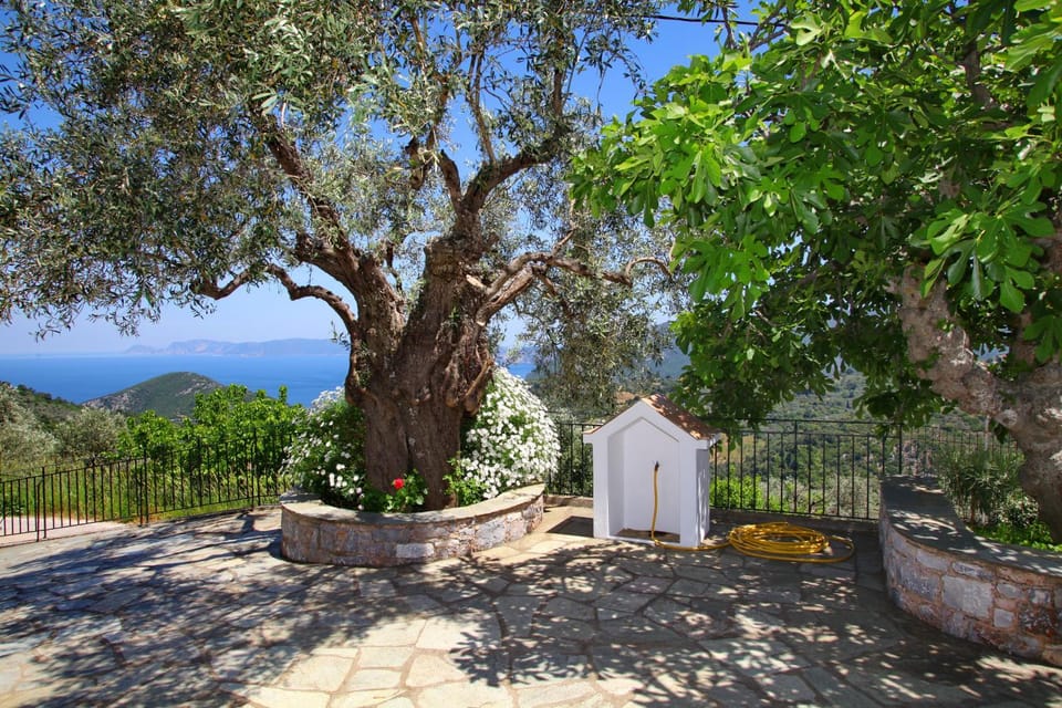 Patio, Garden
