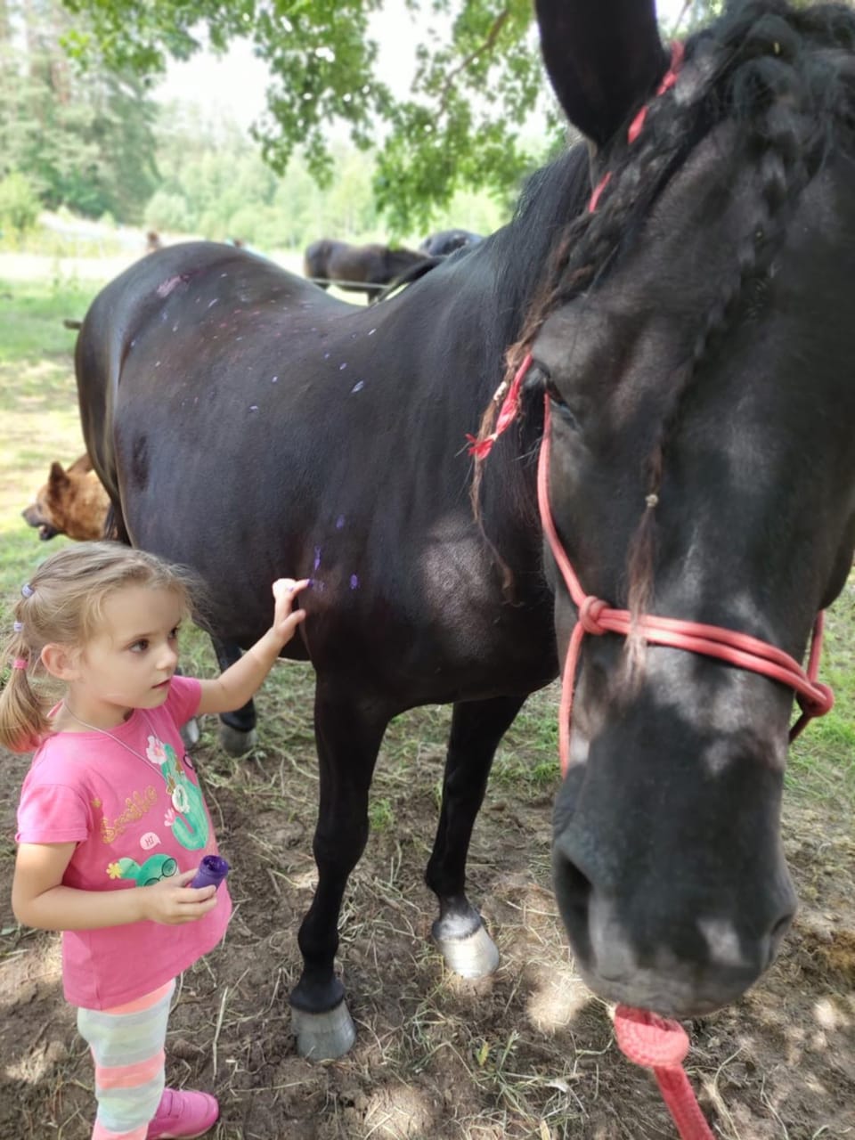 AGROTURYSTYKA NAD STAWEM Farm Stay in Poland