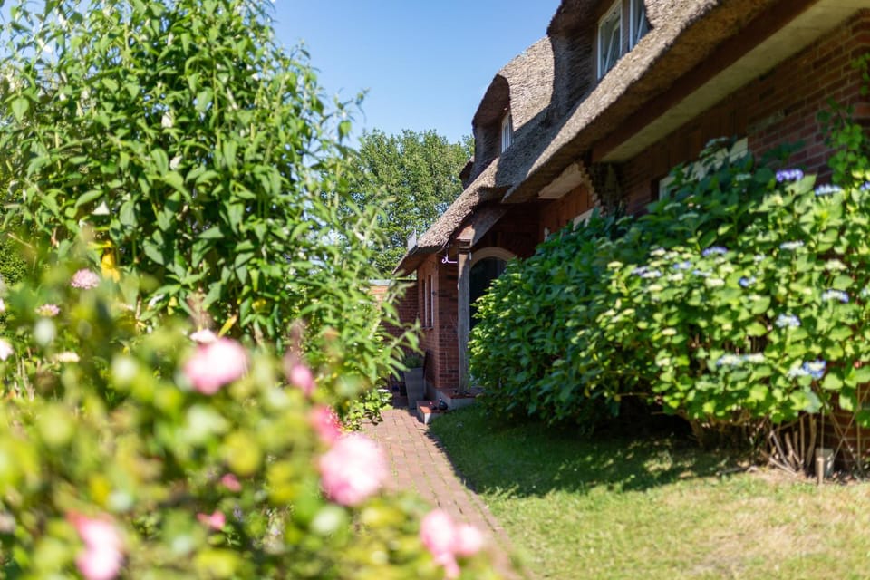 Hortensie - Reetdachhaus Petersen Apartment in Nordfriesland