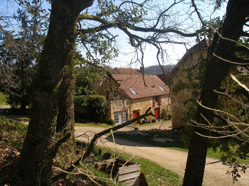Area and facilities