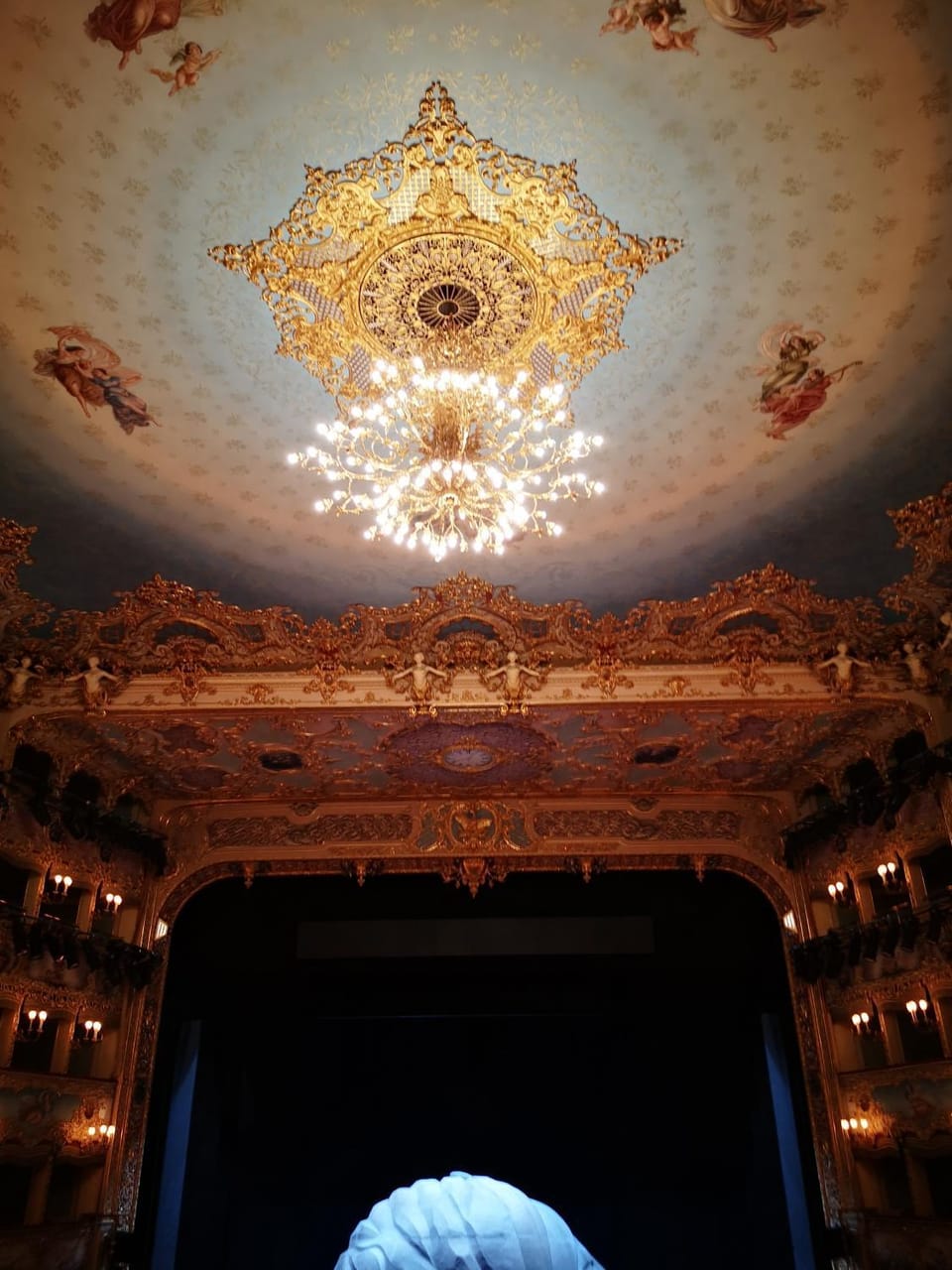 Barchessa Villa Volpi con Parco Apartment in Mogliano Veneto