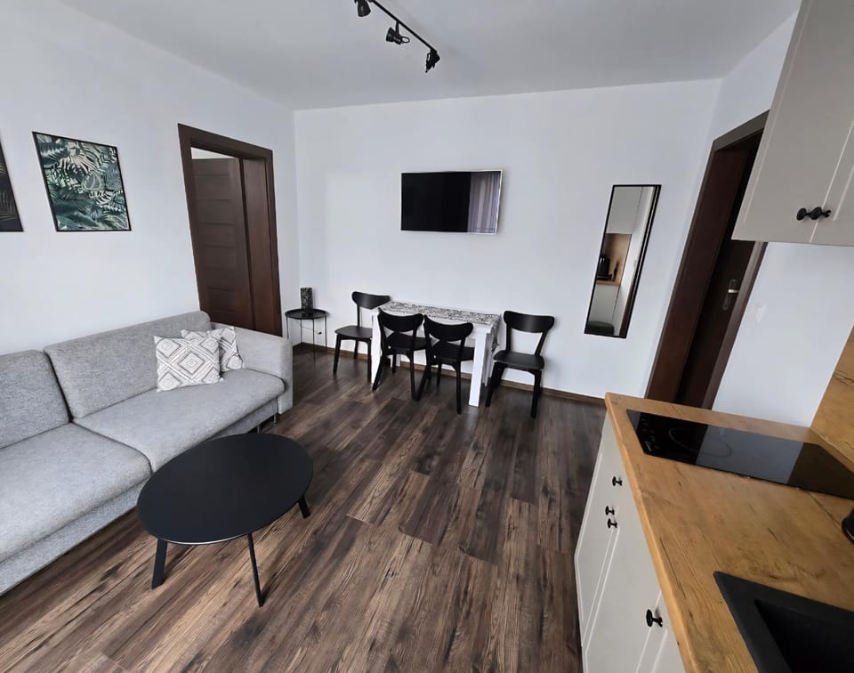 TV and multimedia, Coffee/tea facilities, Balcony/Terrace, Kitchen or kitchenette, Living room, microwave, stove, kitchen