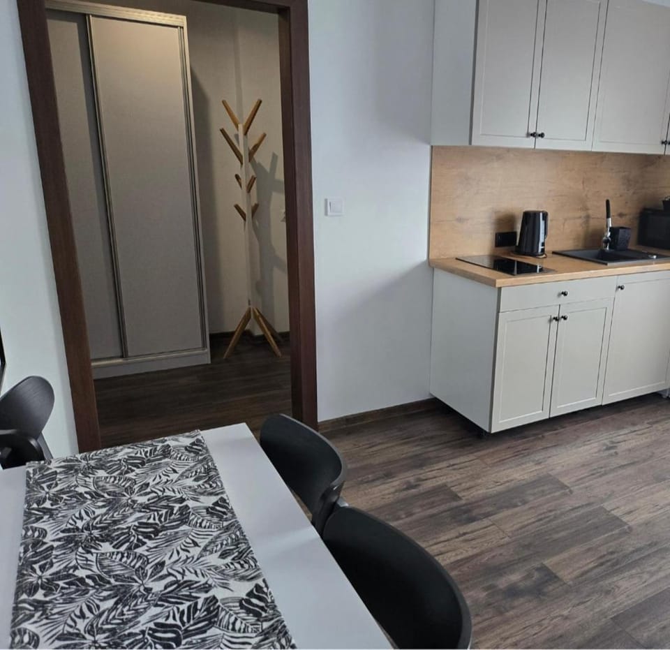 TV and multimedia, Coffee/tea facilities, Balcony/Terrace, Kitchen or kitchenette, Photo of the whole room, Seating area, internet, microwave, stove