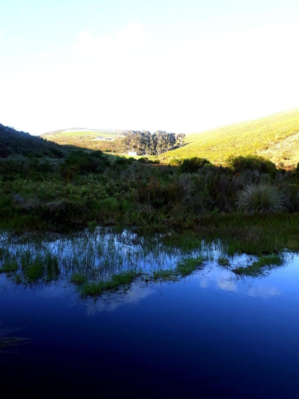 Natural landscape, Swimming pool