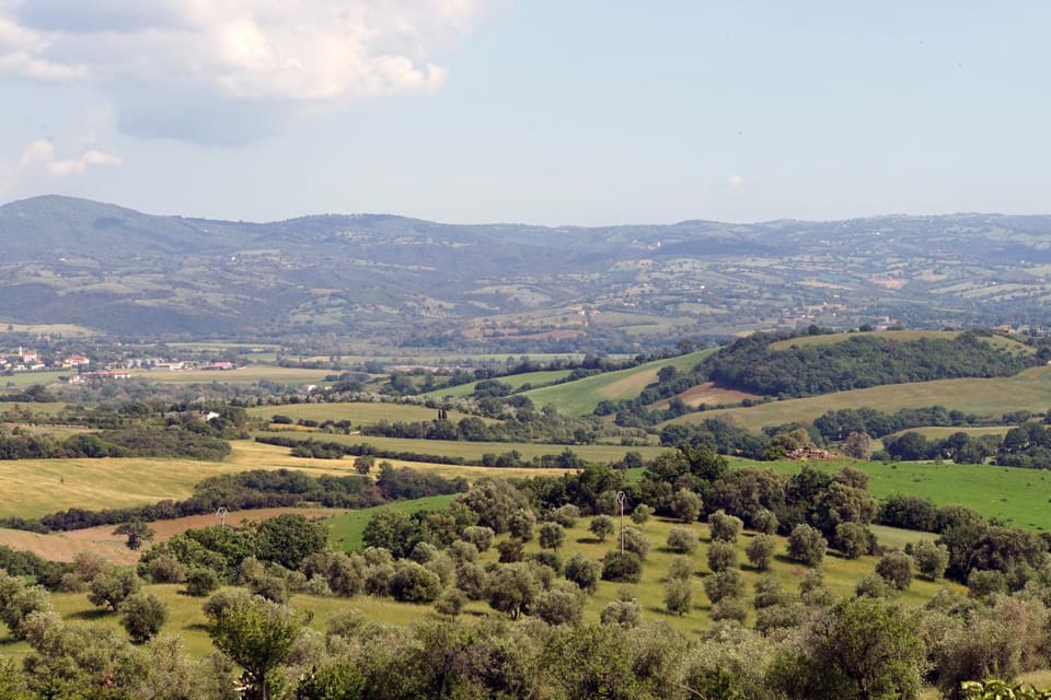 Mountain view
