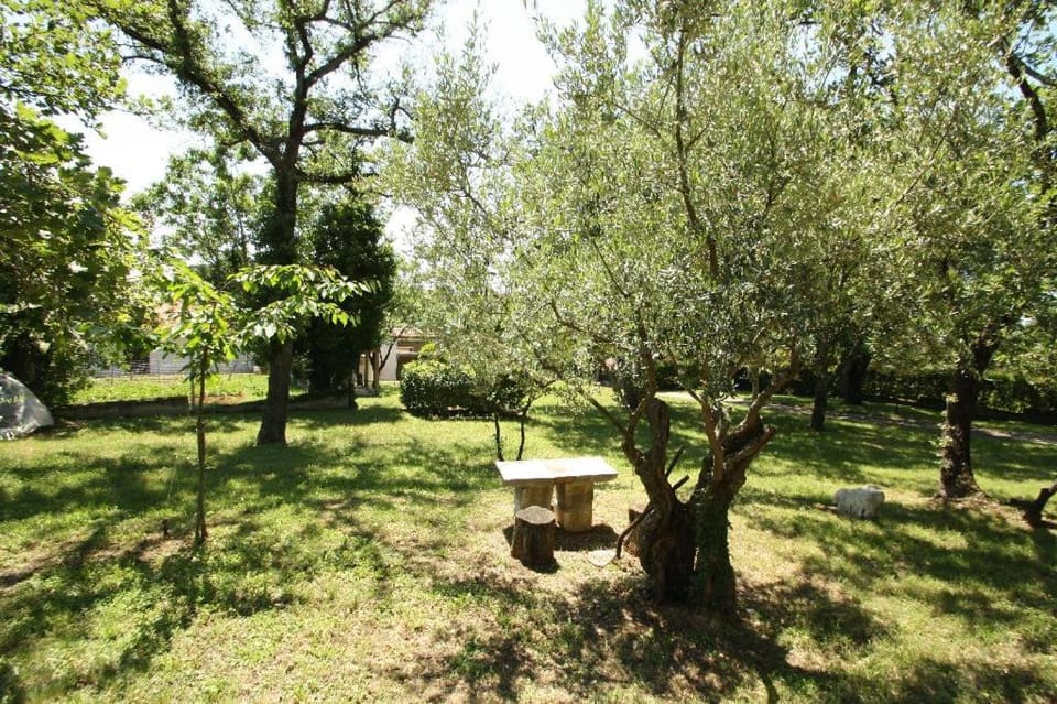 Patio, Garden, Garden, Garden view