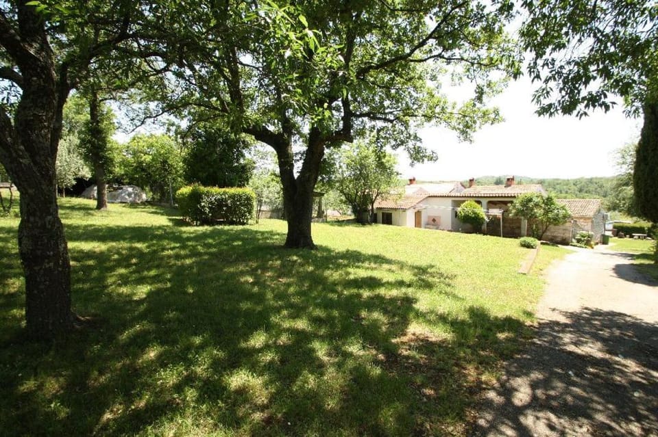 Property building, Garden, Garden