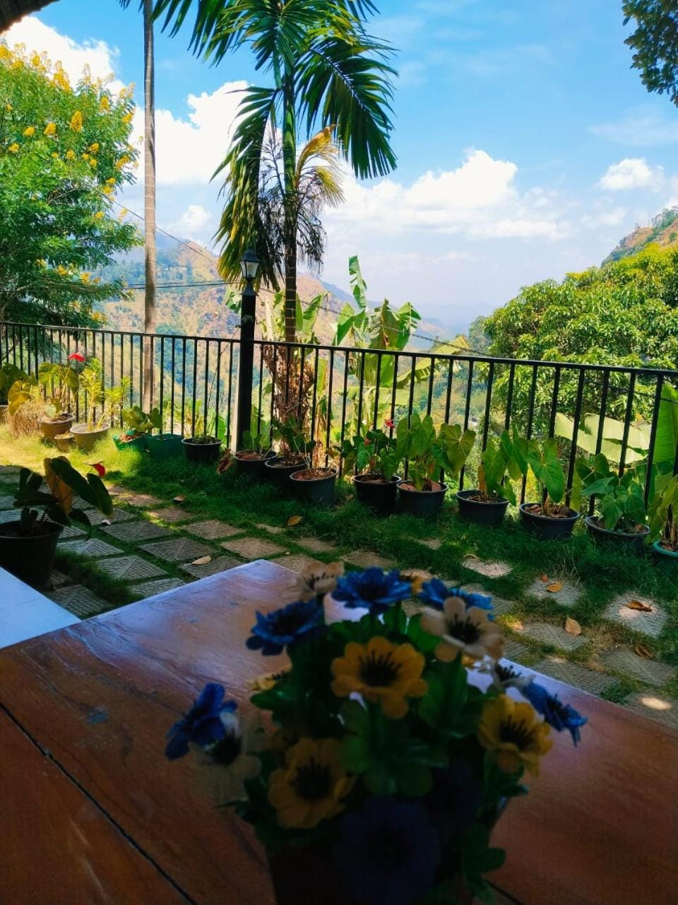 Garden view