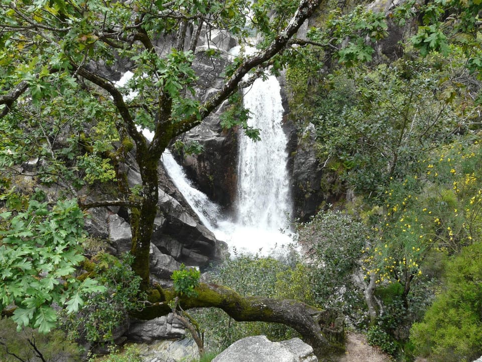 Activities, Other, Area and facilities