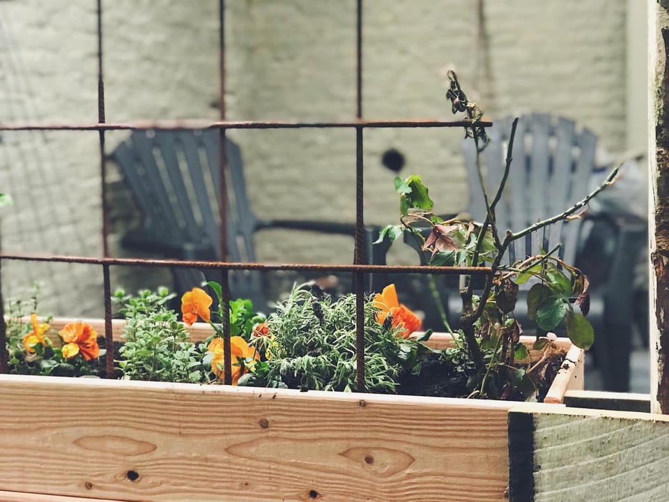 De Pastorie Apartment in Middelburg