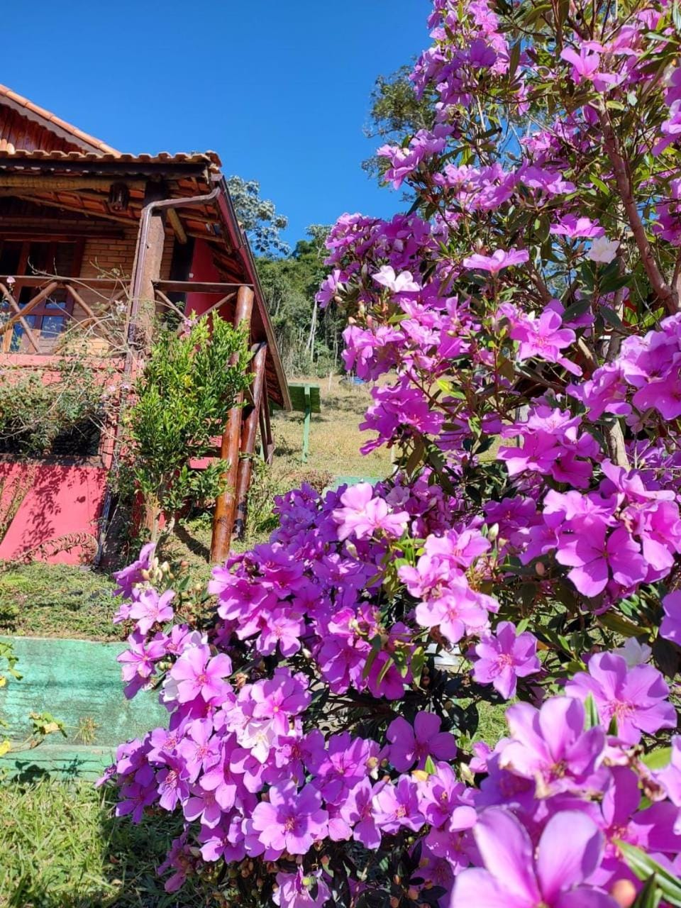 POUSADA BELA HELENA Inn in State of Rio de Janeiro