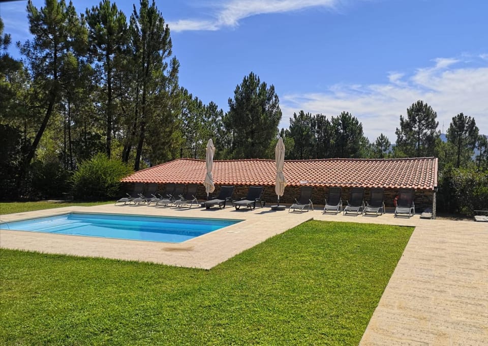 Garden, Swimming pool