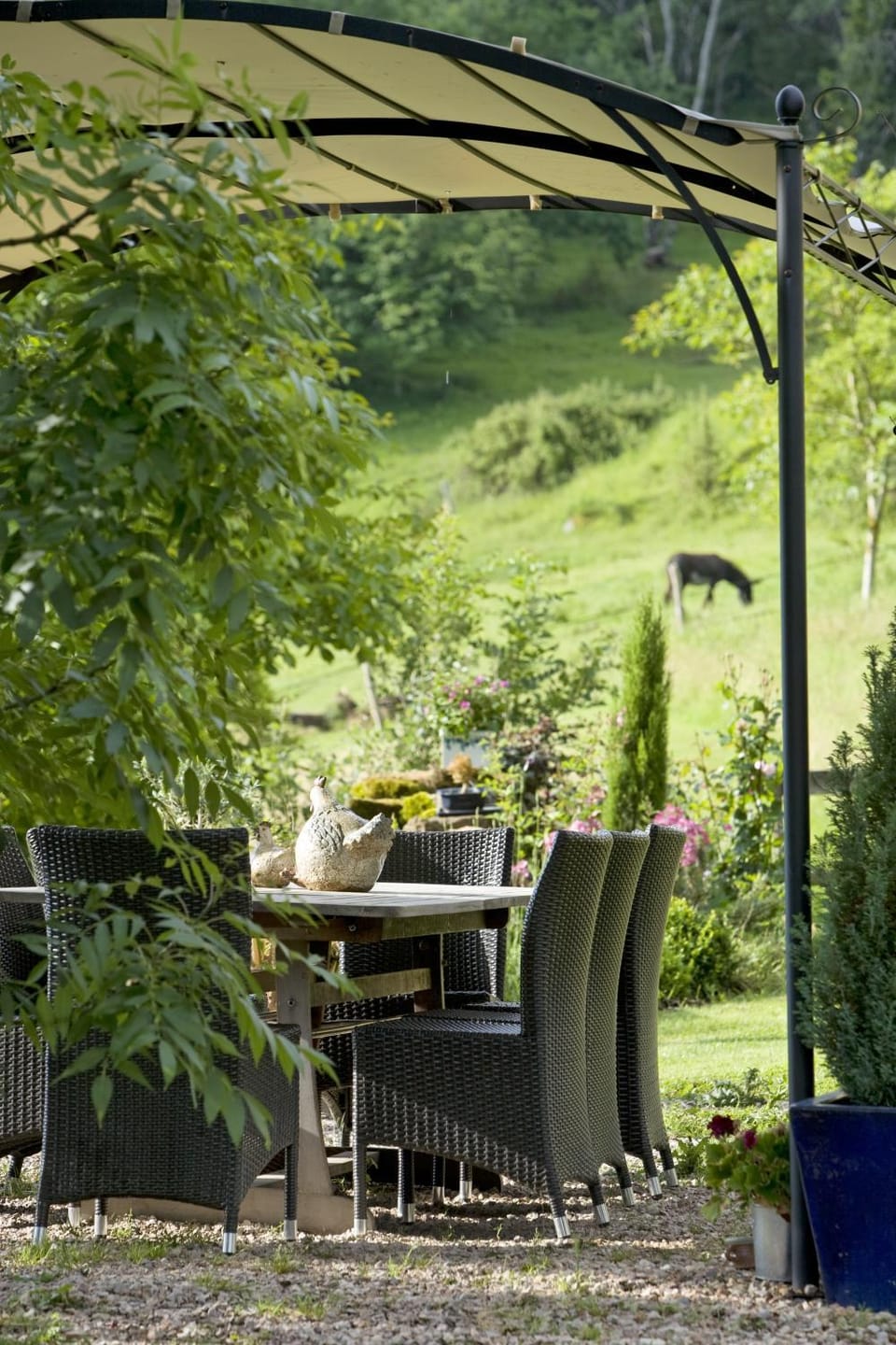 Patio, Natural landscape