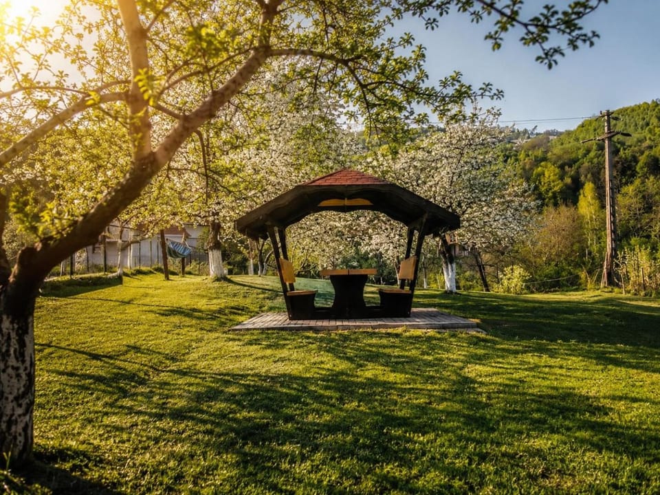 Pensiunea Denisa Stoian Bed and Breakfast in Brașov County