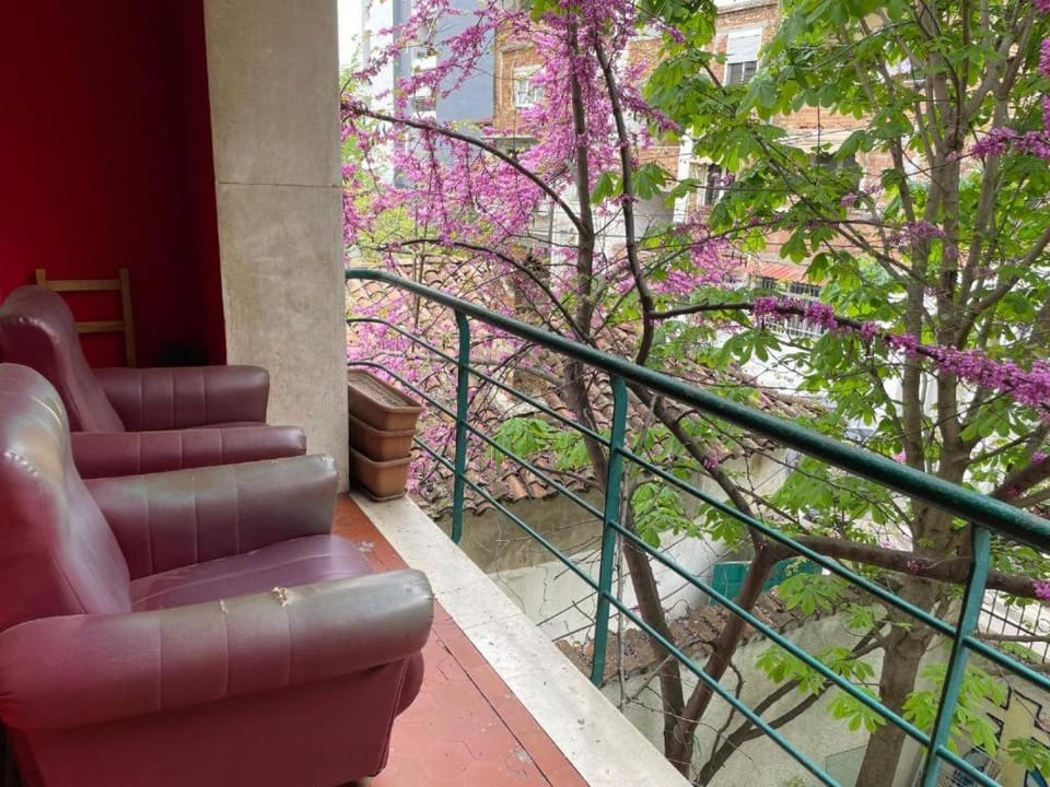 Trip'n'Hostel Hostel in Tirana