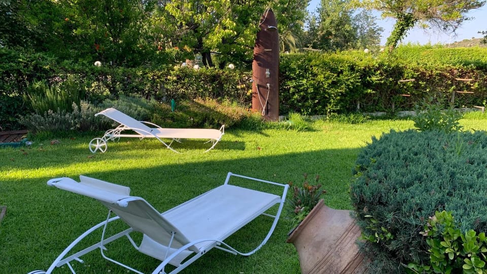 Garden, Garden view, sunbed