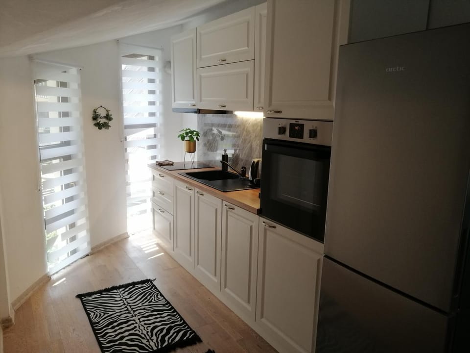 Pensiunea Timiș Bed and Breakfast in Romania