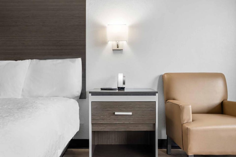 Bed, Seating area, Bedroom