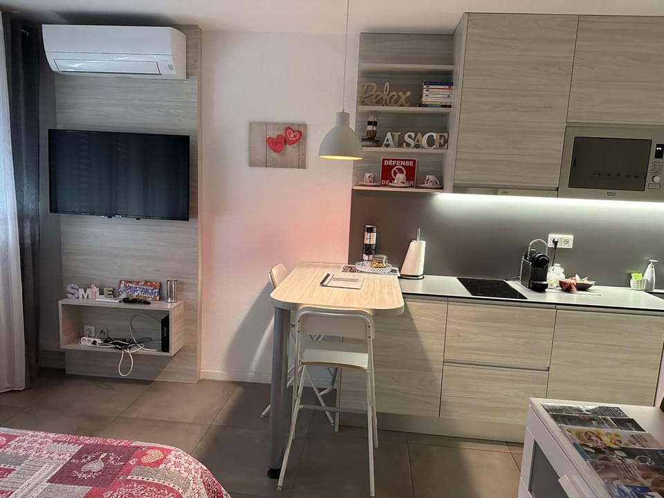 Djokovic's Apartment Apartment in Colmar