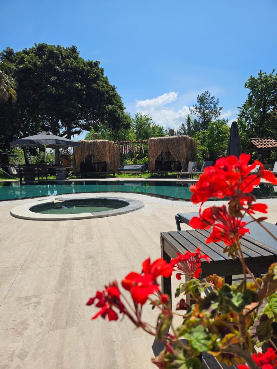 Day, Garden, Garden view