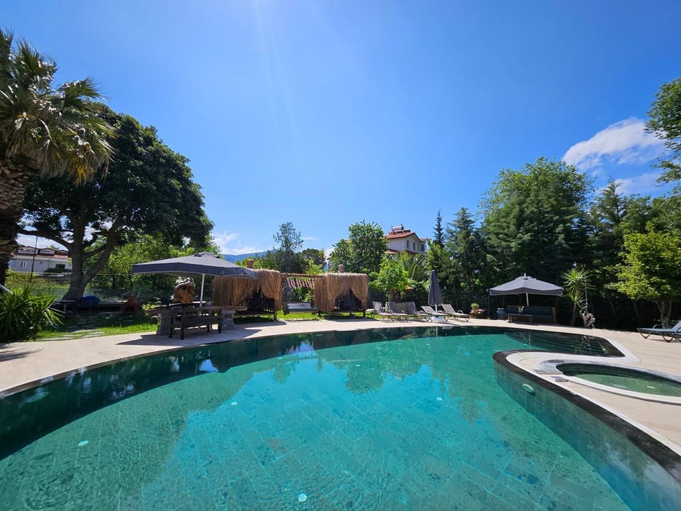 Day, Garden, Garden view, Pool view, Swimming pool, sunbed