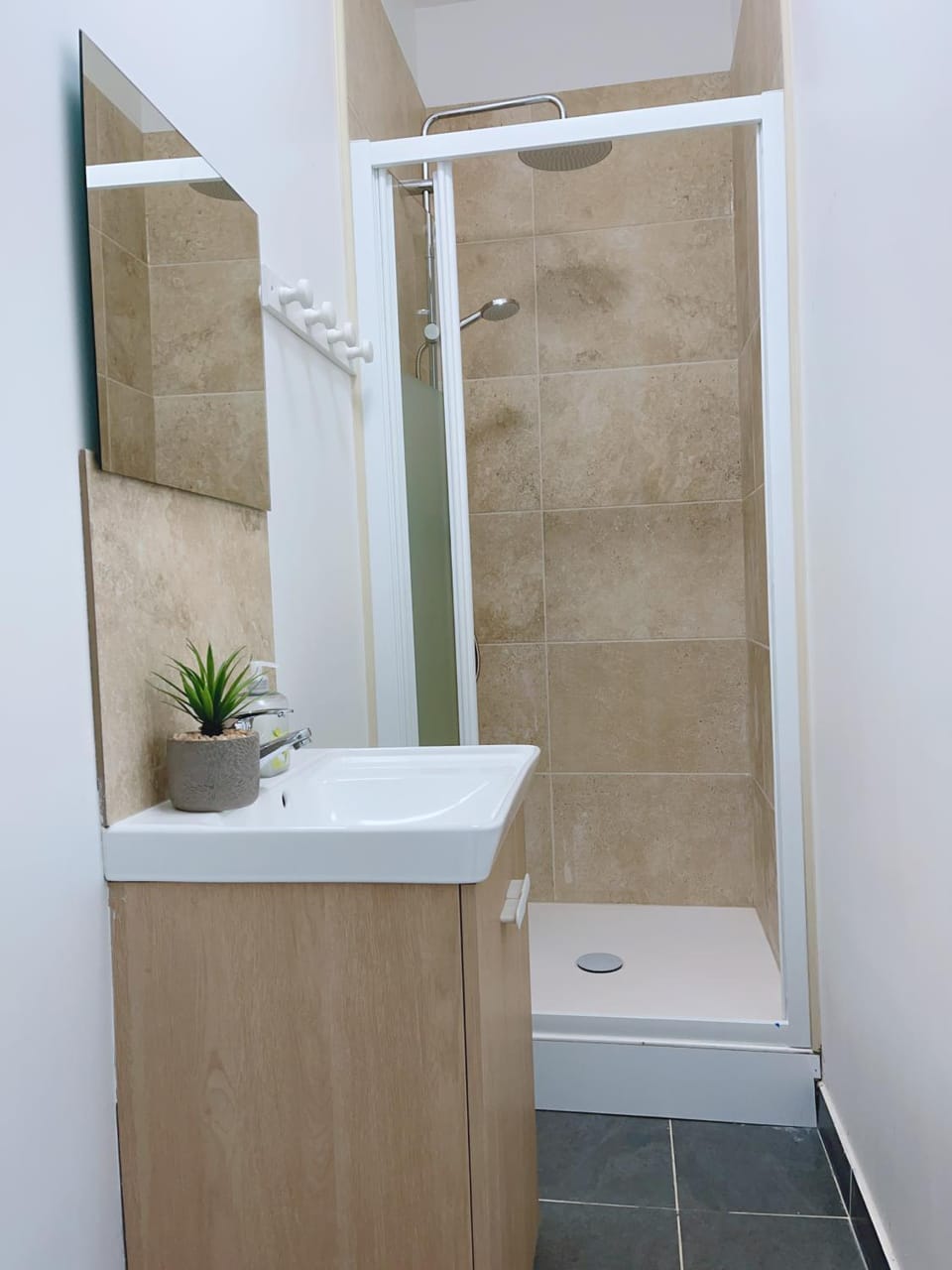 Le MonMon grand T2 hyper centre ville Apartment in Pays de la Loire
