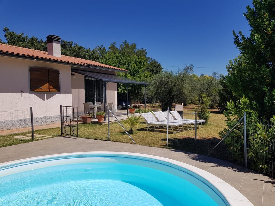 Day, Garden, Garden view, Swimming pool, sunbed