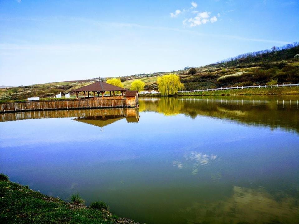 Ardelean Lake House House in Romania