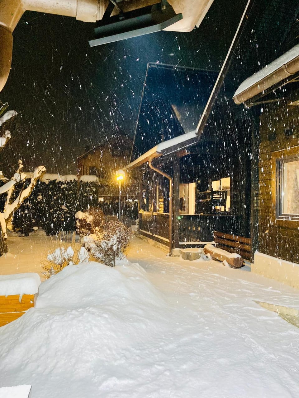 Pensiunea Galileo Bed and Breakfast in Romania