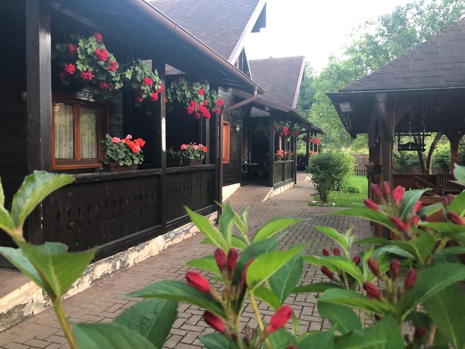 Pensiunea Galileo Bed and Breakfast in Romania