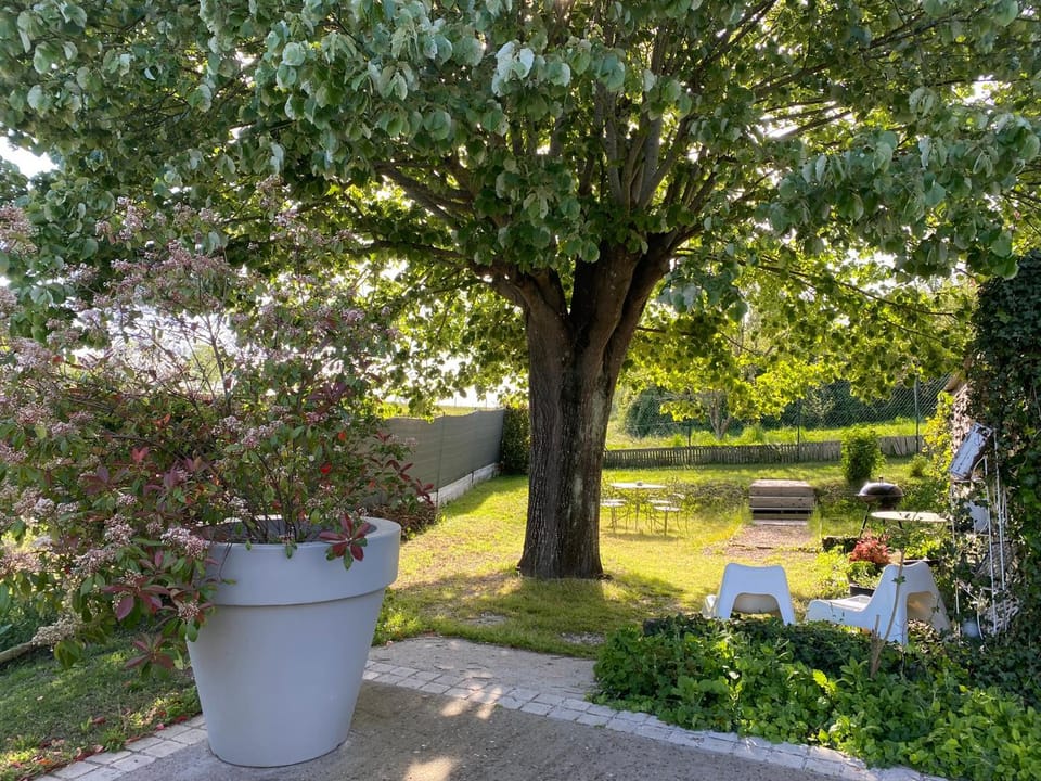 Patio, Spring, Garden, Dining area